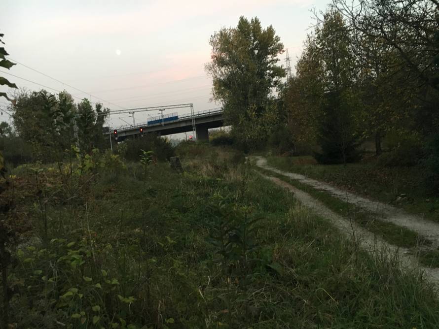 Policija pronašla više desetaka migranata u šikari u Sv. Klari...