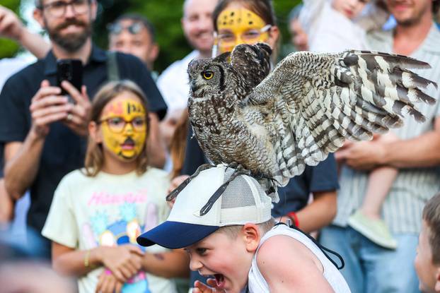 Otvoren je  13. Srednjovjekovni festival u Svetvinčentu