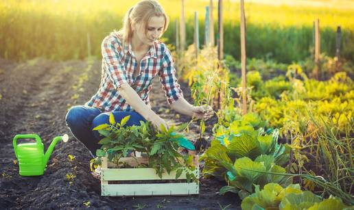 Isplanirajte gredice i uzgojite uspje&scaron;an vrt ove godine...