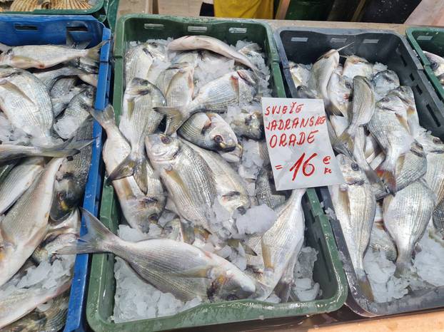 FOTO 'Pa to nije normalno, kila rajčica sedam eura! Nemam ja toliko, kupila sam tri komada'