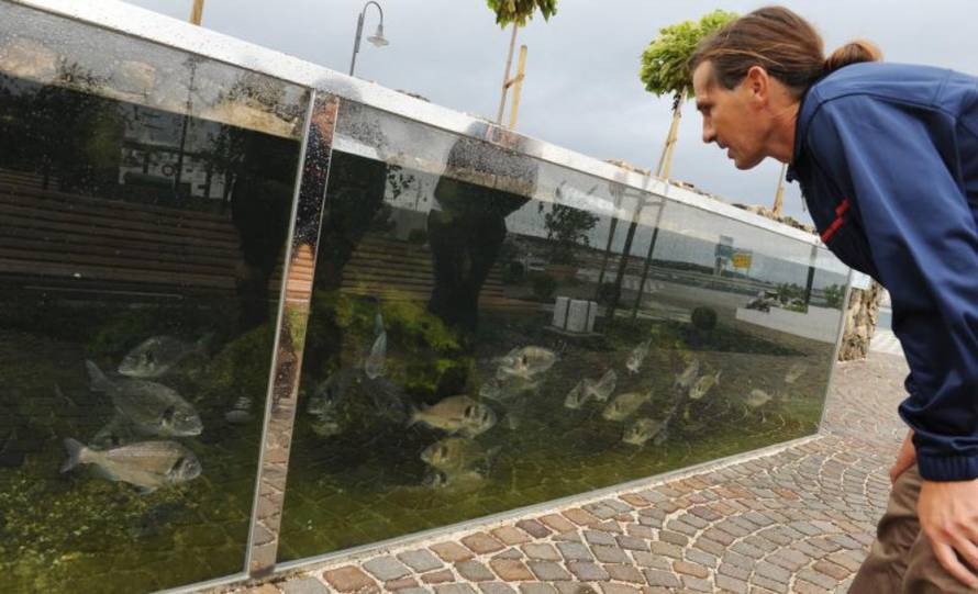 Hrvoje Jelavić/Pixsell