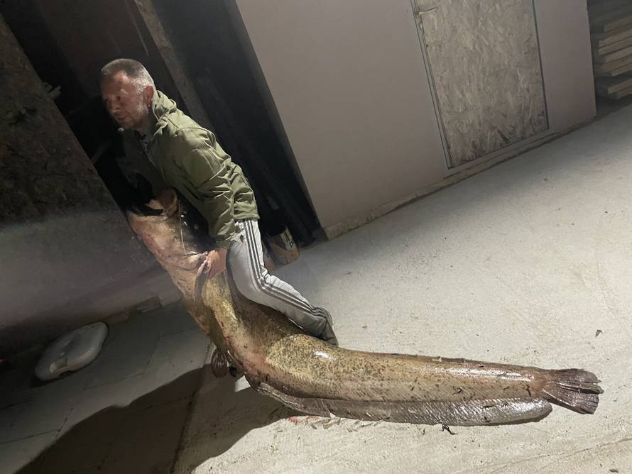 Iz Drave ulovio soma od 56 kila: 'Bila je to borba između njega i mene, još uvijek me bole mišići'