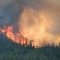 Katastrofa u Kanadi: Zemljom haraju požari, poginuo je još jedan vatrogasac, 4. ove godine
