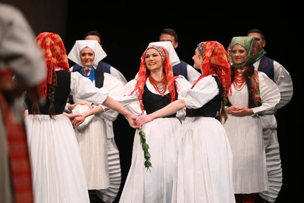 Zagreb: Humanitarni Ladov koncert korak za Korak u zivot