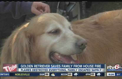 Pas, najbolji čovjekov prijatelj spasio obitelj s dvoje djece