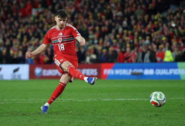 FIFA World Cup - UEFA Qualifiers - Semi Final - Wales v Bosnia and Herzegovina