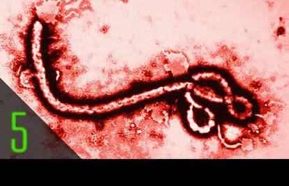 Činjenice o eboli - bolesti čije je širenje zastrašilo cijeli svijet