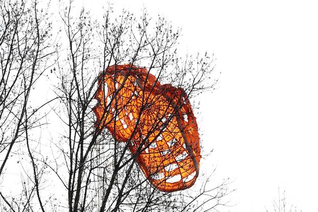 Zagreb: Teretni padobran zaglavljen u krošnji na mjestu pada letjelice