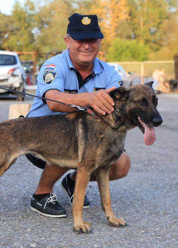 24sata Priča o psu kojeg je policija na Pašmanu bacila u more