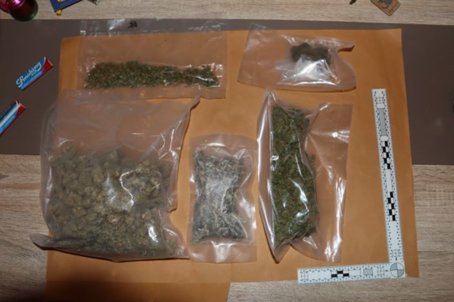 VIDEO Kakav ulov u Zagrebu: Dileru našli meskalin, gljive, LSD, u stanu je imao i kuburu