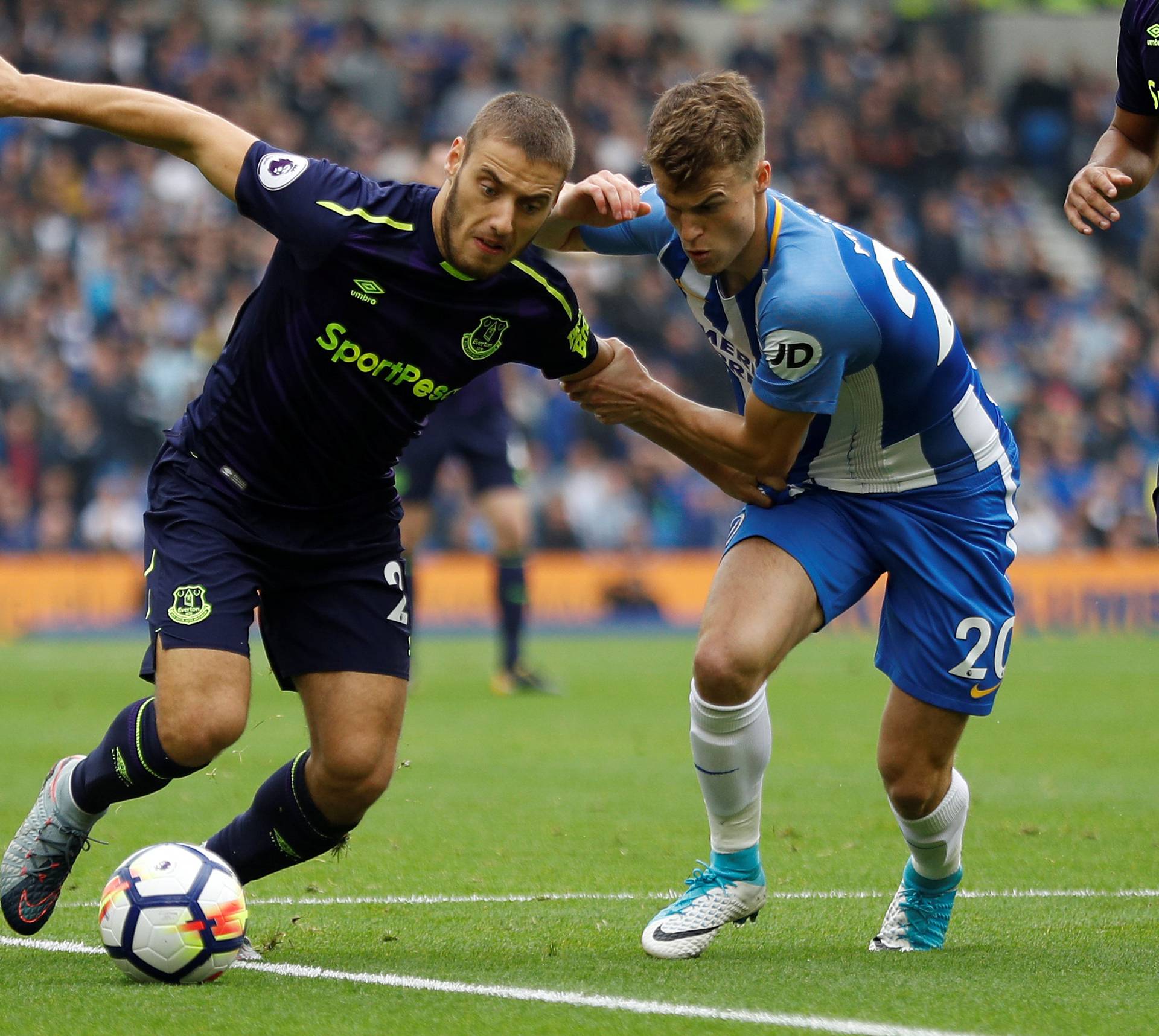 Premier League - Brighton & Hove Albion vs Everton