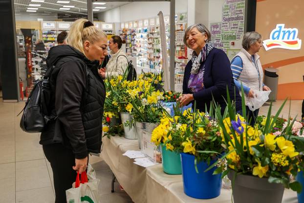 Pula: Dijelili građanima narcise te ih educirali o ranom otkrivanju raka dojke