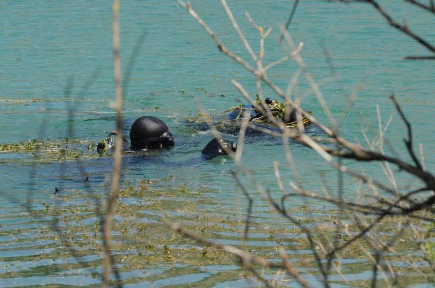 Hrvoje Jelavić/Pixsell