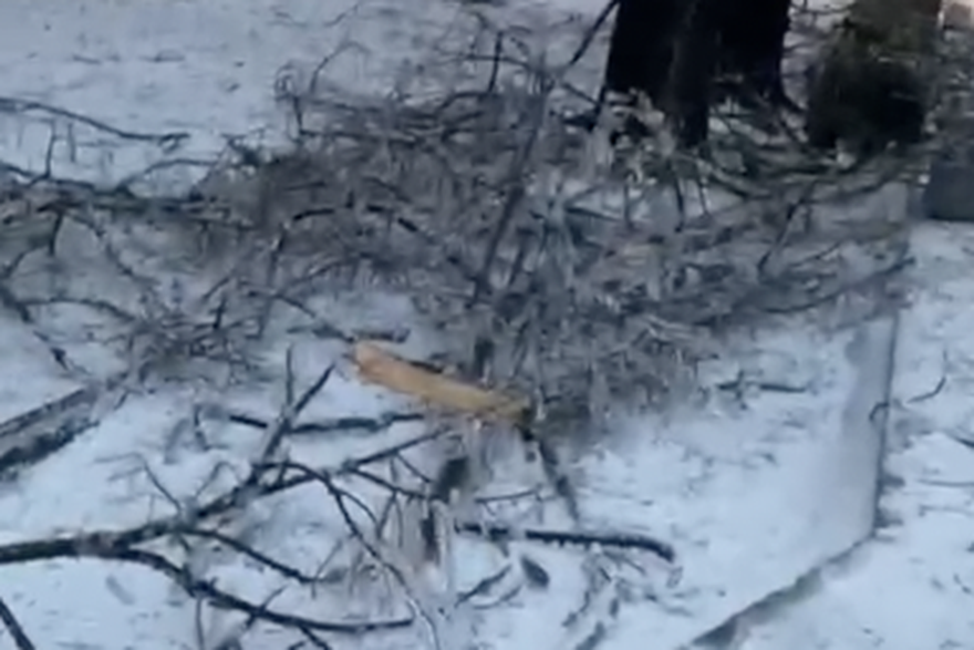 Grane popucale pod snijegom i ledom u Kninu