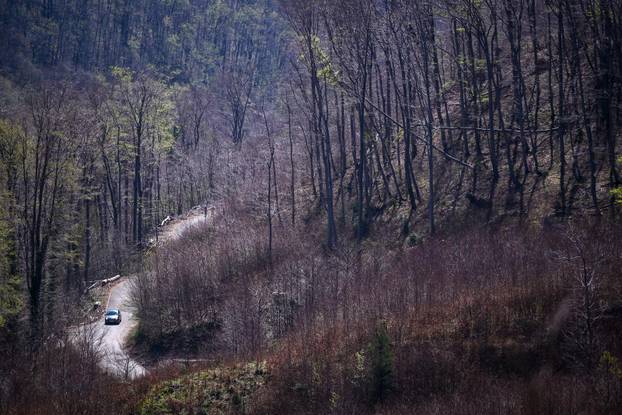 Zagreb: Posljedice olujnog nevremena na Sljemenu