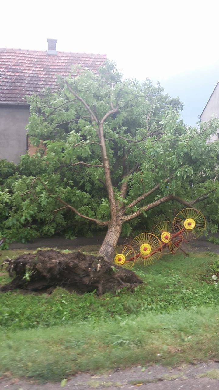 Kataklizma u Požegi: Vjetar je čupao stabla, kiša sve poplavila