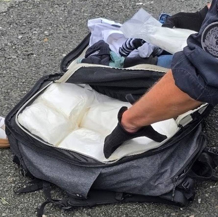 Pas nanjušio skoro 14 kila droge u busu na A6, uhitili su mladića