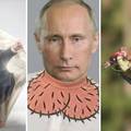 Društvene mreže preplavile su montaže Putina, u Rusiji se zbog njih i dalje ide u zatvor...