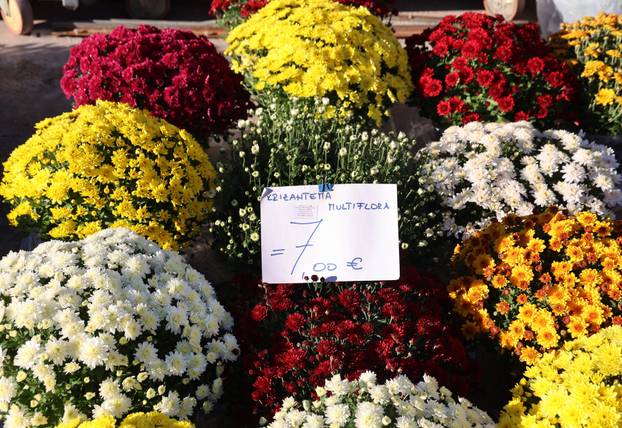 Šibenik: Uo?i nadolaze?ih blagdana pove?ana ponuda cvije?a i cvjetnih aranžmana