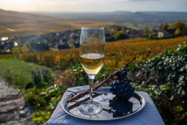 Tasting of premier cru sparkling white wine with bubbles champag