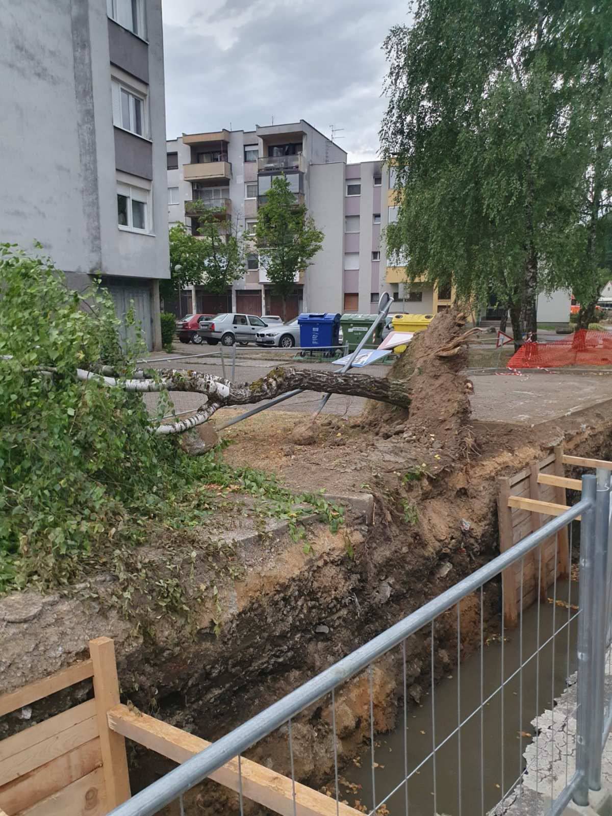 FOTO Nevrijeme u Karlovcu: Jak vjetar u par minuta napravio kaos, porušena brojna stabla