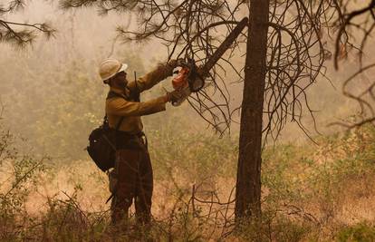 U češkom nacionalnom parku požar gasi 900 vatrogasaca
