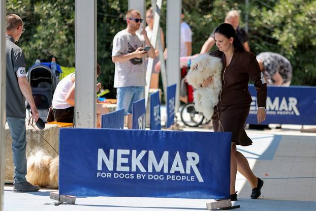 Zaton: Međunarodna izložba pasa pod nazivom CACIB Zadar 2025