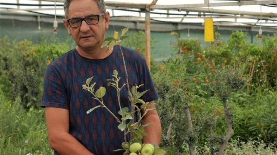 Mladi pokreću novi trend: Zašto opet svi sadimo?