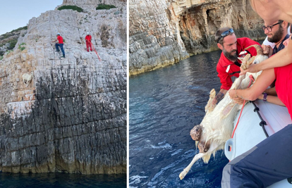 VIDEO Neobična intervencija na Visu: HGSS je spasio kozu koja je zapela na litici iznad mora