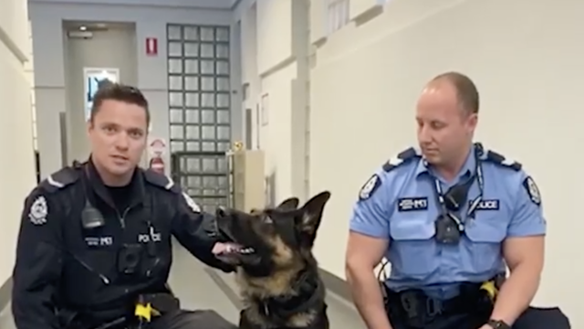 Ovako Whiskey 'pumpa': Pas s policajcima vježba sklekove