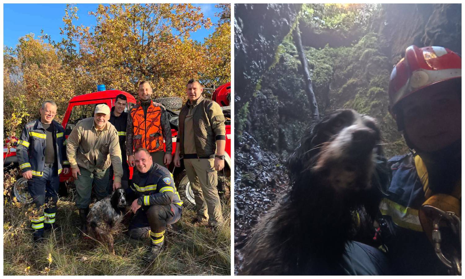 Vatrogasci izvadili psa iz jame od 30 metara u Istri: 'Na sreću, Bafi nije polomio nijednu kost'