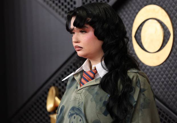 Premiere ceremony of the 68th Annual Grammy Awards in Los Angeles