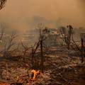 Šumski požari u Kaliforniji se šire, 22 tisuće ljudi evakuirano