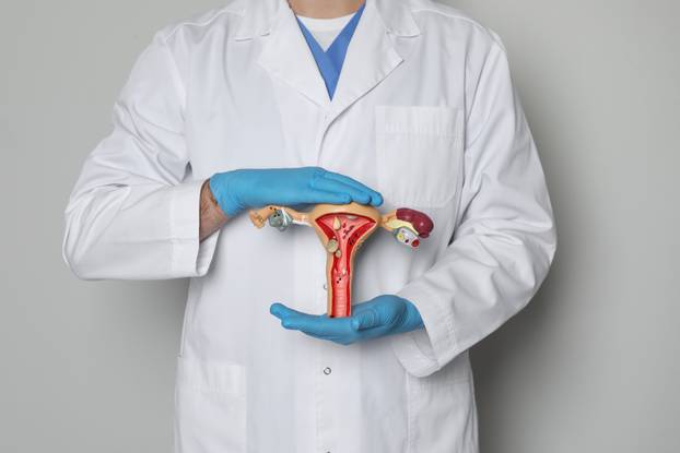 Gynecologist demonstrating model of female reproductive system o