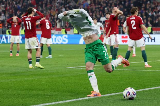 World Cup - UEFA Qualifiers - Group F - Hungary v Republic of Ireland
