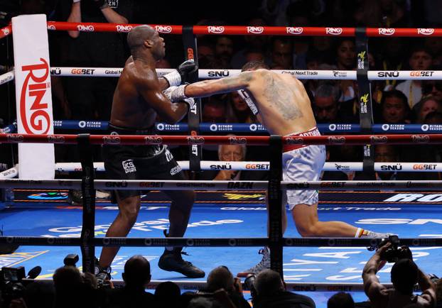 Oleksandr Usyk v Daniel Dubois - WBC, WBO, WBA & IBF World Heavyweight Titles