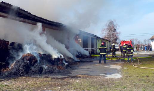 Planulo 120 tona sijena i slame, šteta oko 500.000 kuna