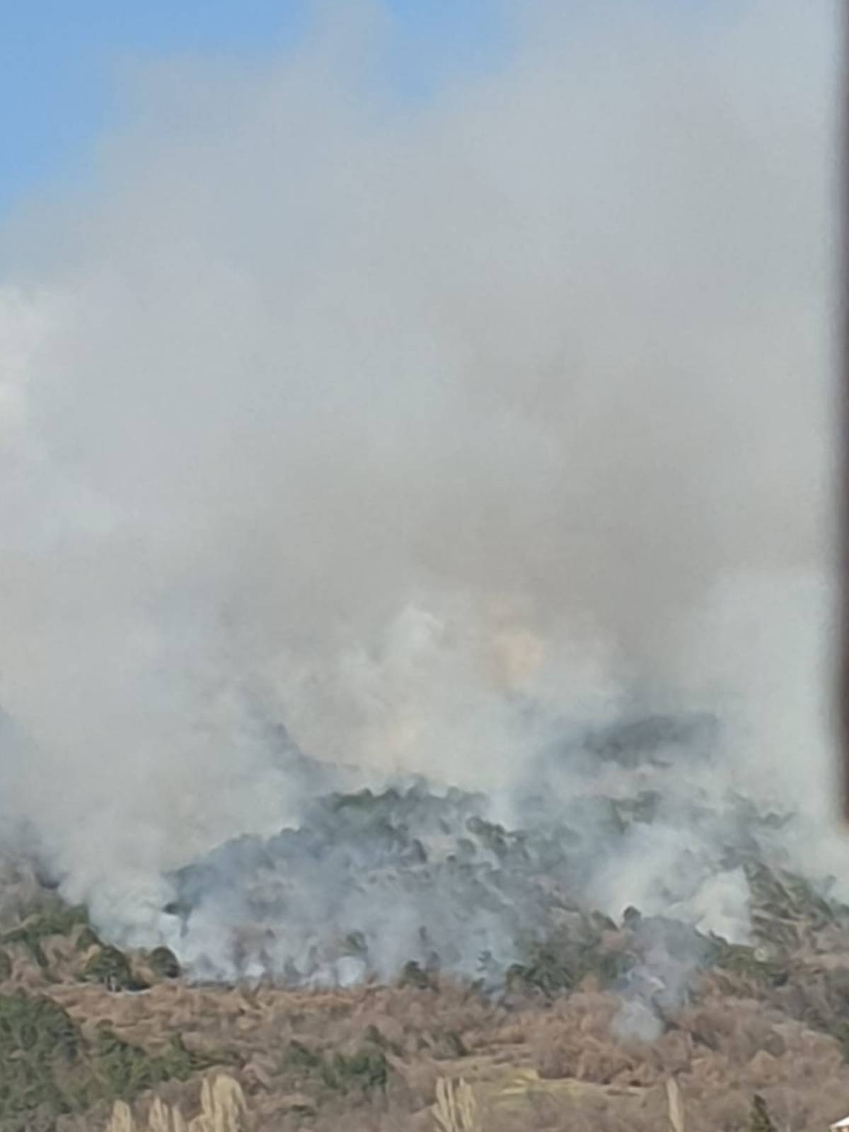 Sinj: Planula je gusta borova šuma, dim se proširio posvuda