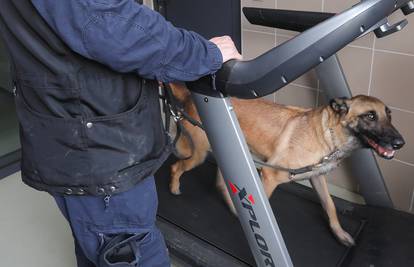 Kraljevski tretman za službene policijske pse: Karavan s tušem i pokretna traka za trčanje...