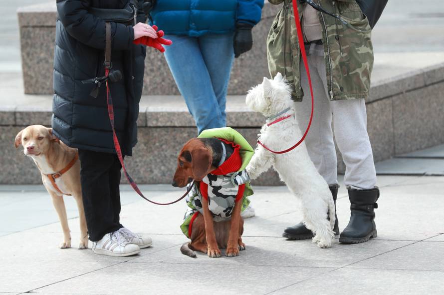 Zagreb: Posljedice potresa u centru grada