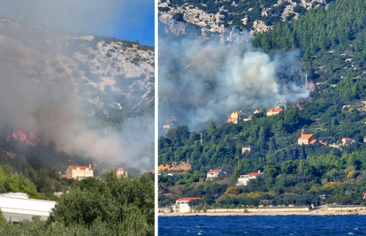 Požar na Pelješcu: Buktinja bila blizu kuća, vatrogasci je ugasili