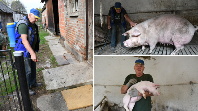 Marijan uveo rigorozne mjere zaštite da spasi svoje svinje: 'Prskam sve živo da ih zaštitim'