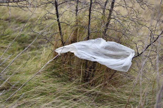 Zbog ljudskog nemara proroda je zagađena plastičnim vrećicama