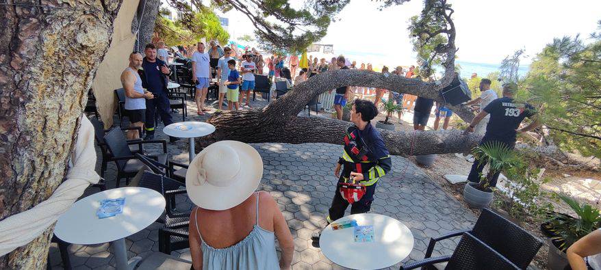 Drama u Baškoj Vodi: Na plažu palo stablo, četvero ozlijeđenih