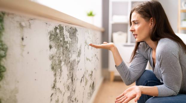 Side,View,Of,A,Shocked,Young,Woman,Looking,At,Mold