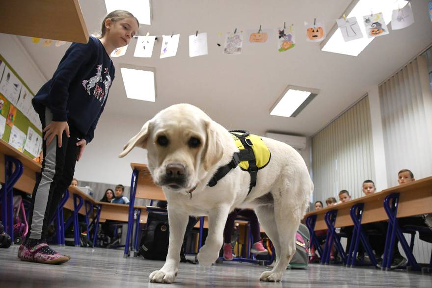 Luna je terapijski pas koji unosi radost u bjelovarsku osnovnu školu: Ima ključnu ulogu u motiviranju i poticanju djece