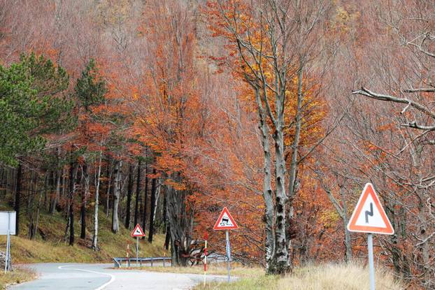 Delnice: Boje jeseni u Gorskom kotaru