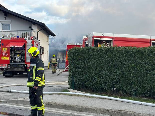 FOTO Strašne scene iz Sesveta: Požar u hali, diže se gusti dim