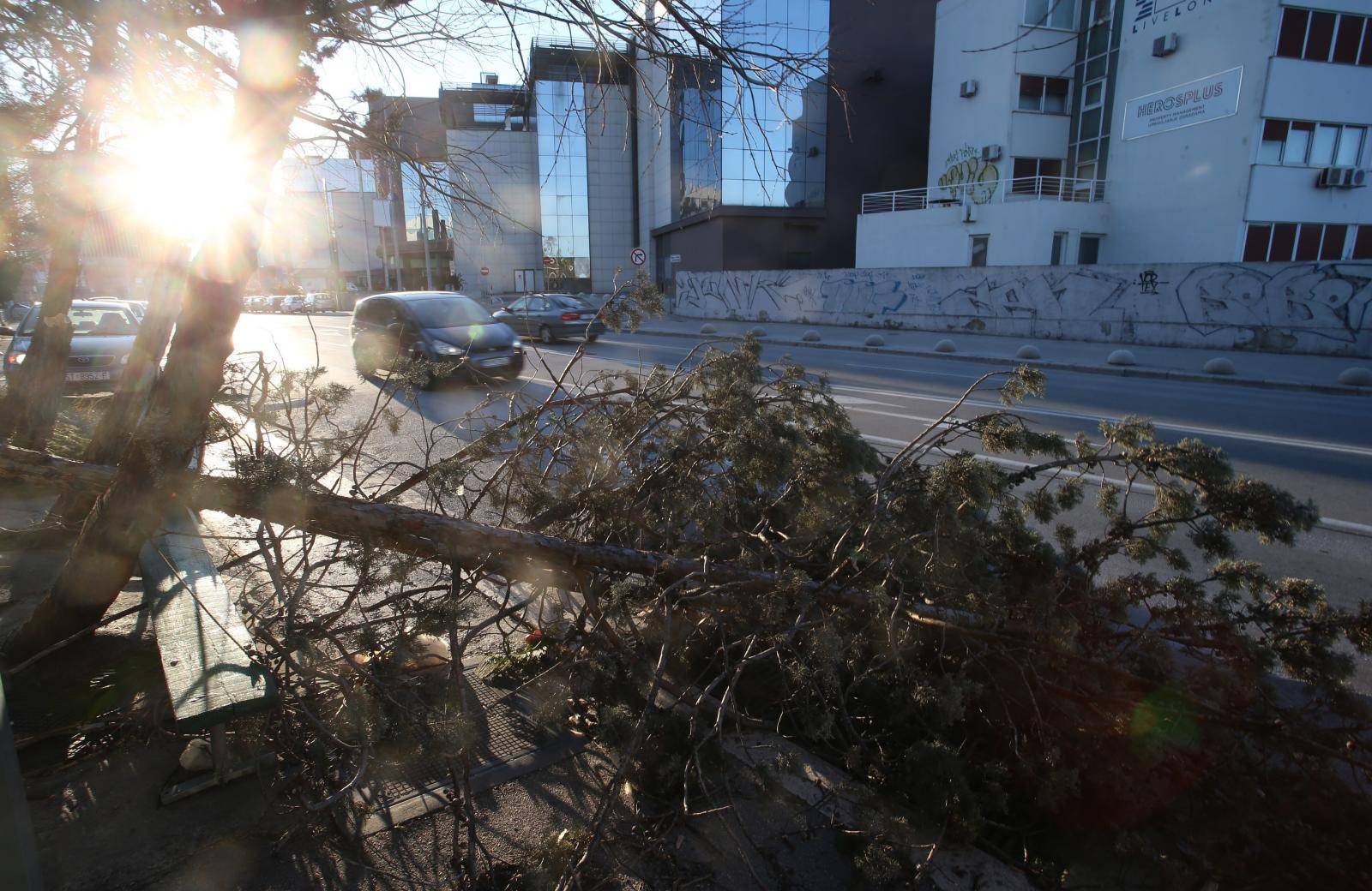 Split: Nakon olujnih udara bure najviÅ¡e stradala stabla i drveni elektriÄni stupovi
