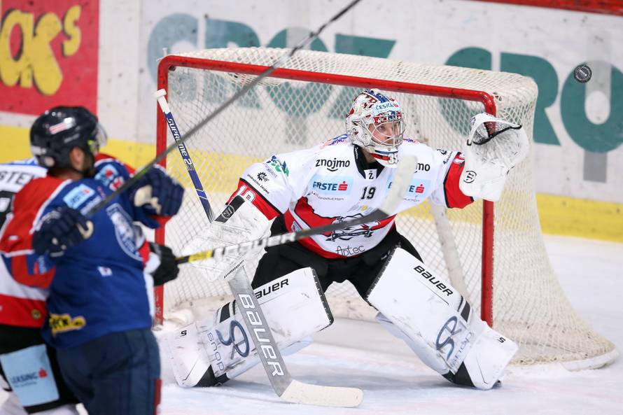 Medvjedi posuđivali igrače na dan utakmice i popili 7 komada